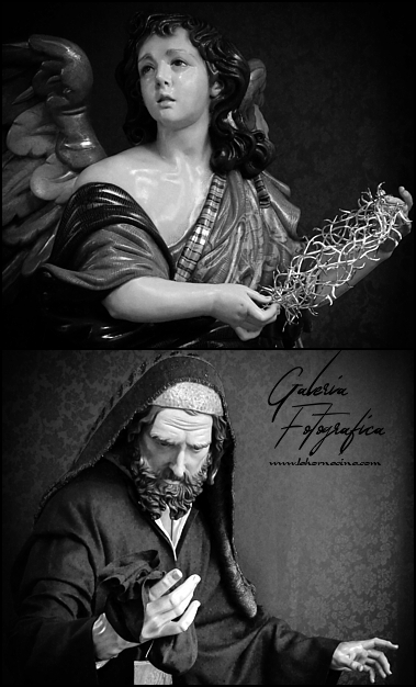 Galería de Fotos