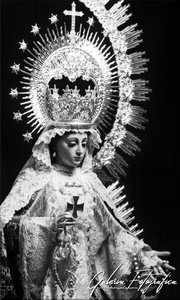 Galería de Fotos