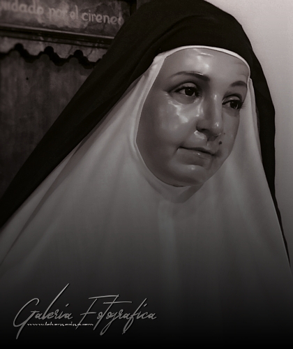 Galería de Fotos