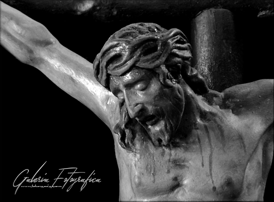 Galería de Fotos