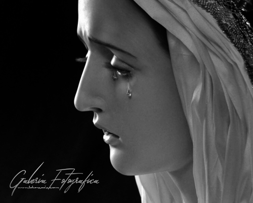 Galería de Fotos