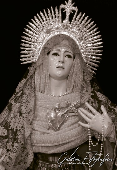 Galería de Fotos
