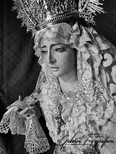 Galería de Fotos