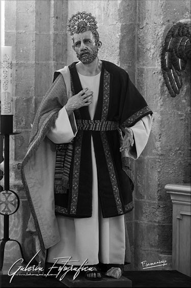 Galería de Fotos
