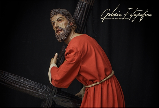 Galería de Fotos