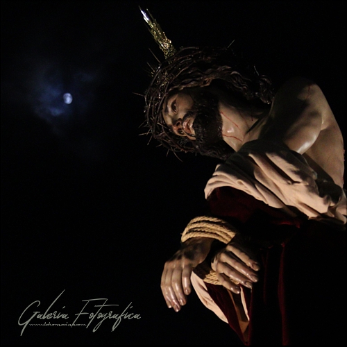 Galería de Fotos