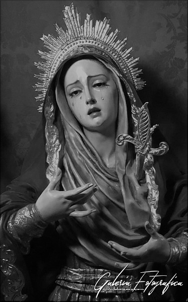 Galería de Fotos