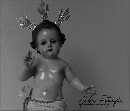 Galería de Fotos