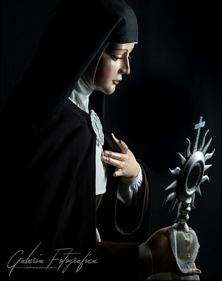 Galería de Fotos