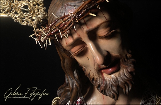 Galería de Fotos