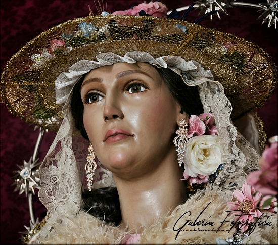 Galería de Fotos