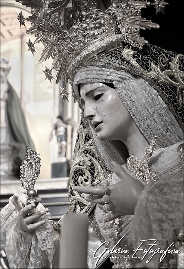 Galería de Fotos