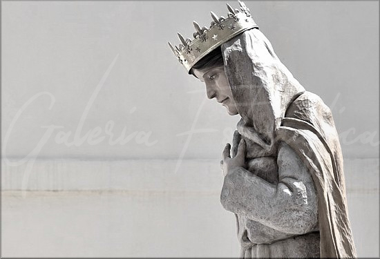 Galería de Fotos