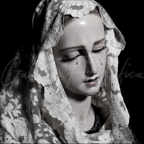 Galería de Fotos