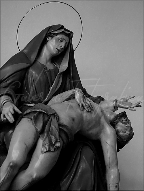 Galería de Fotos