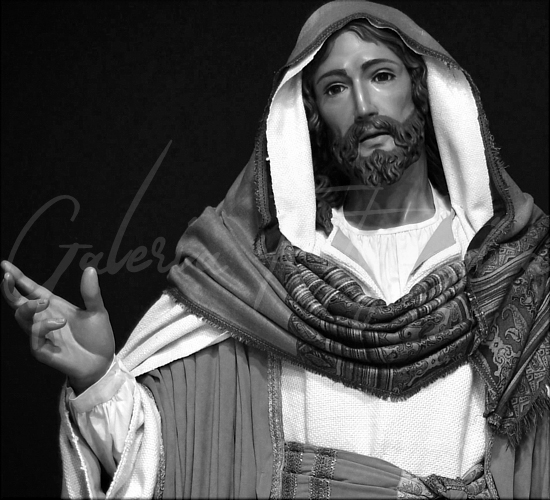 Galería de Fotos