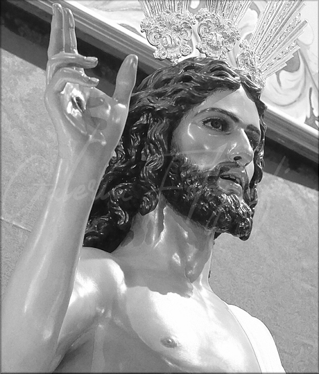 Galería de Fotos