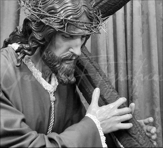 Galería de Fotos