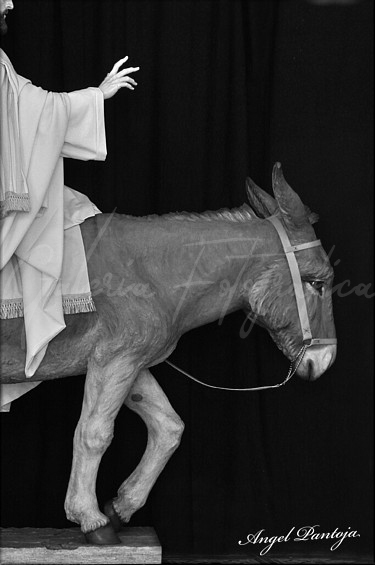 Galería de Fotos