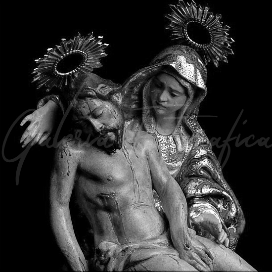 Galería de Fotos