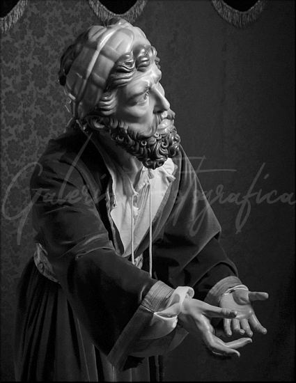 Galería de Fotos