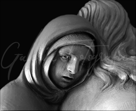 Galería de Fotos