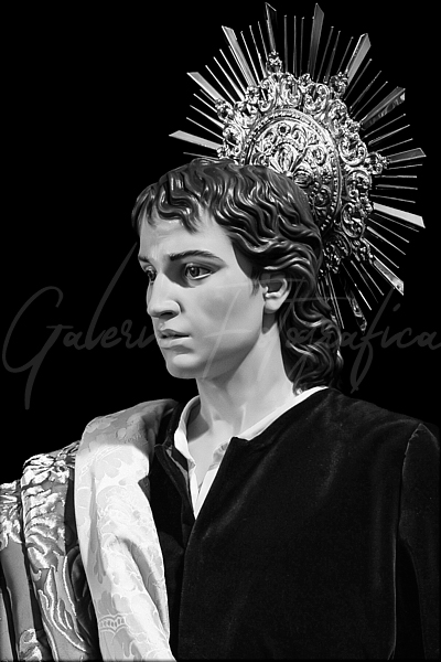 Galería de Fotos