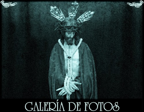 Galería de Fotos