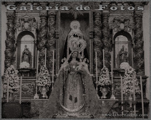 Galería de Fotos