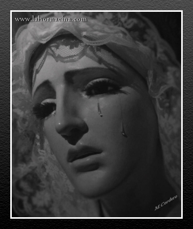 Galer&iacute;a de Fotos