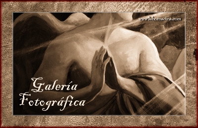 Galería de Fotos