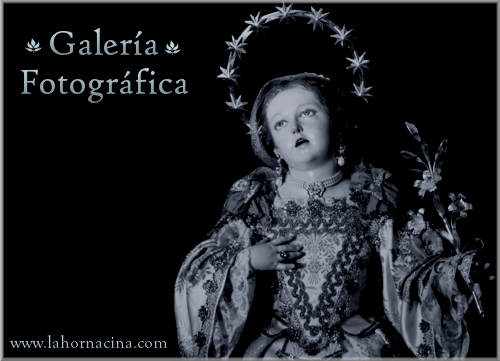Galería de Fotos