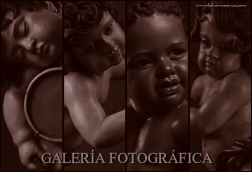 Galería de Fotos