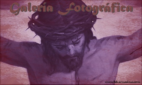 Galería de Fotos