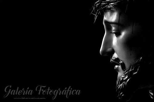 Galería de Fotos