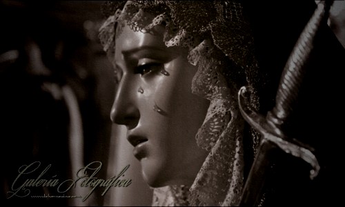Galería de Fotos