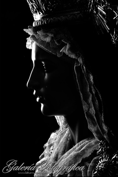 Galería de Fotos
