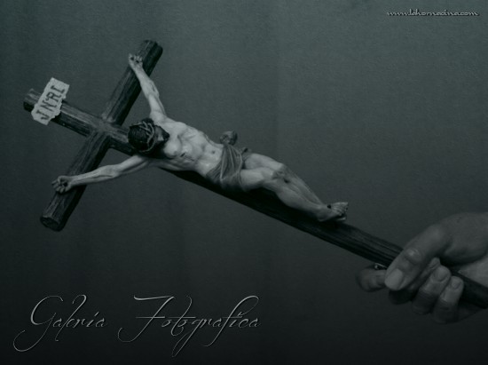 Galería de Fotos