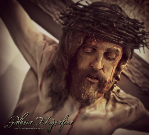 Galería de Fotos
