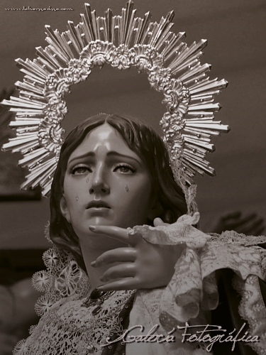 Galería de Fotos