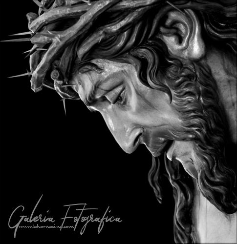 Galería de Fotos