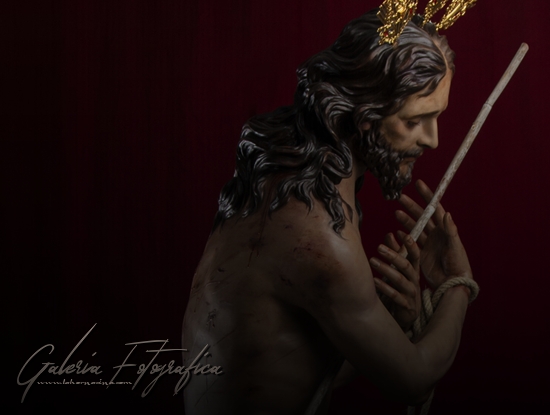Galería de Fotos