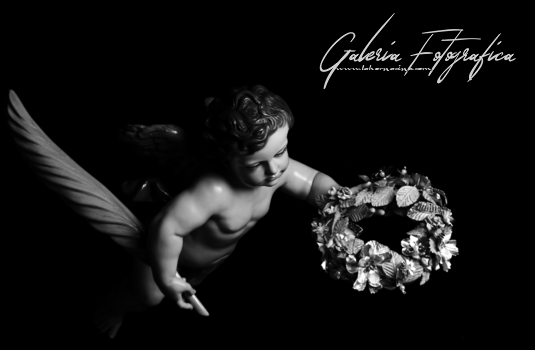 Galería de Fotos