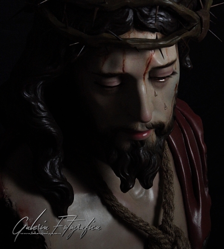 Galería de Fotos
