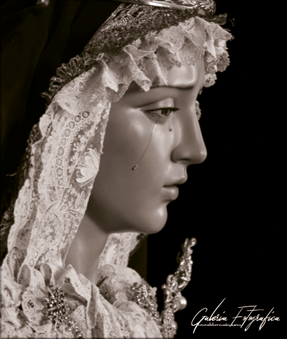 Galería de Fotos