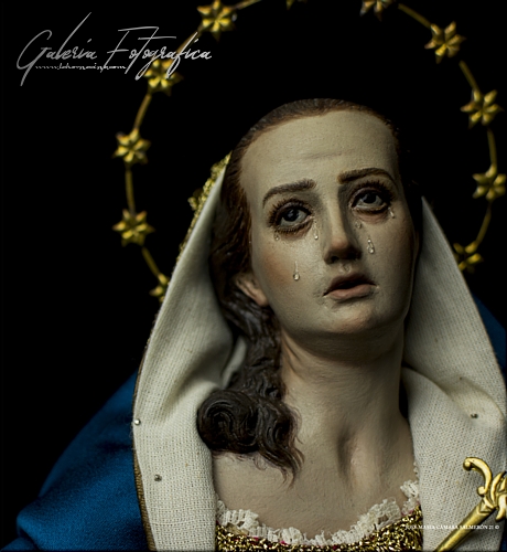 Galería de Fotos
