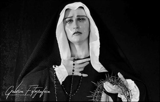 Galería de Fotos