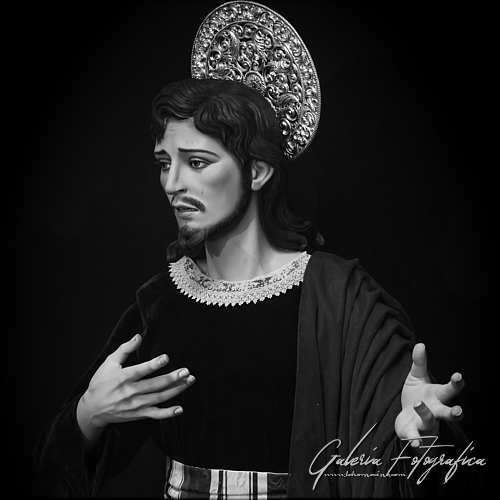 Galería de Fotos