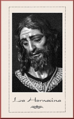 Galería de Fotos
