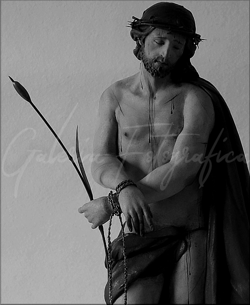 Galería de Fotos